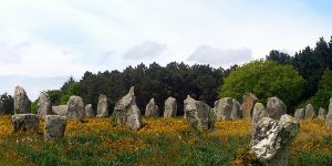 The Carnac stones