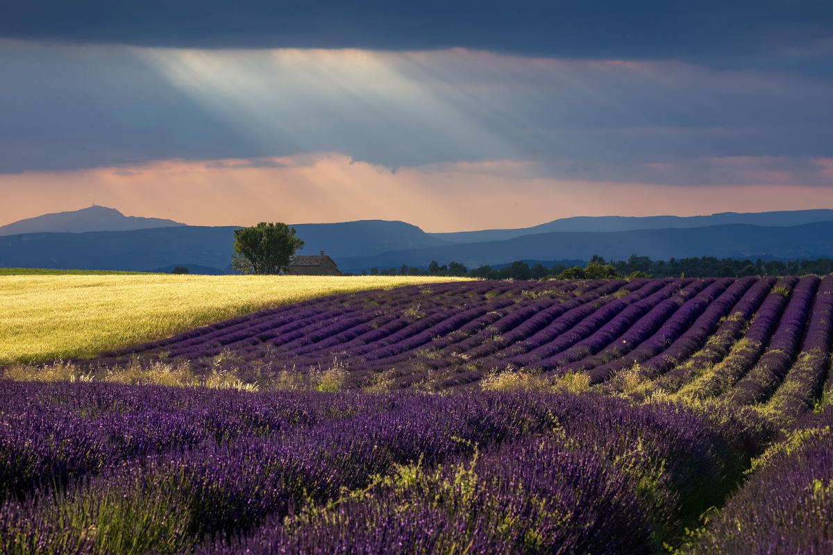 What's On in Provence - Dates for the Diary