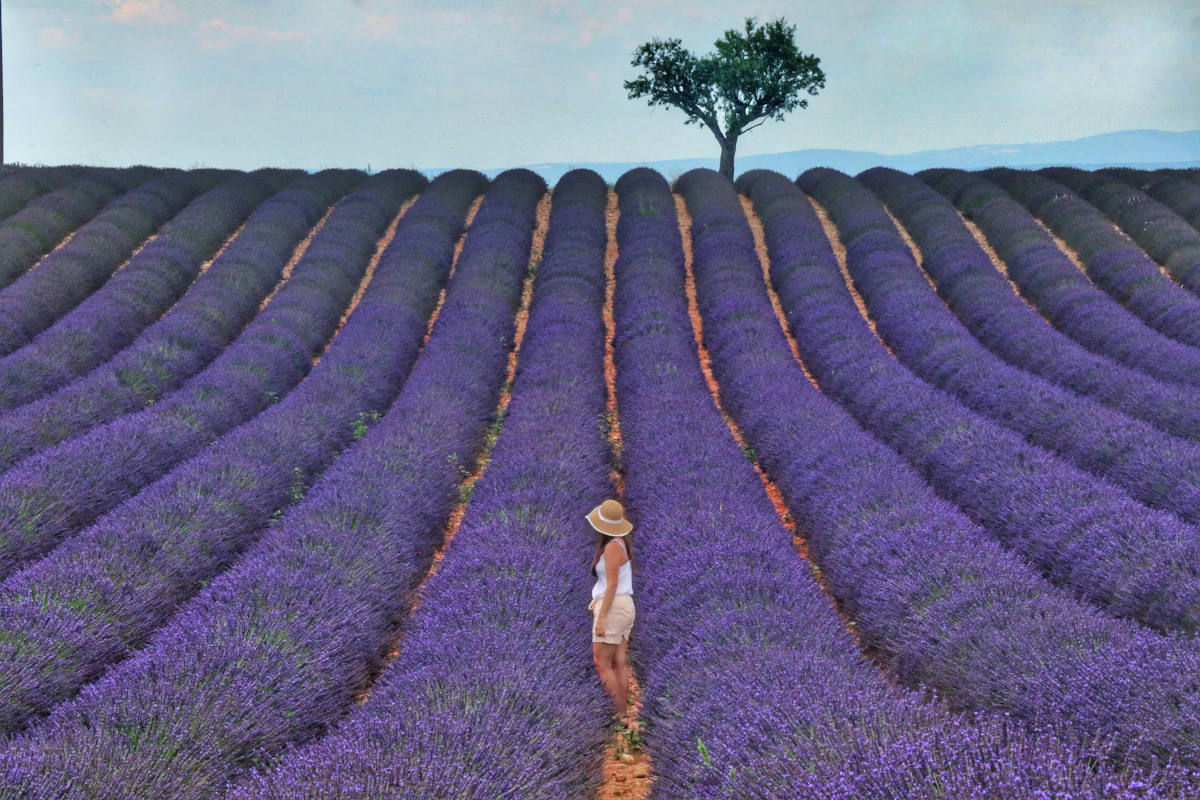 Best things to do in Provence